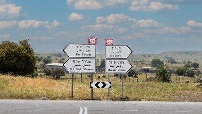 40 Izraelczyków przekroczyło granicę i chciało założyć osiedle w Syrii