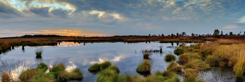 40 proc. metanu w atmosferze pochodzi m.in. z mokradeł. /pixabay.com
