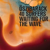 Oszibarack: -40 Surfers Waiting For The Wave