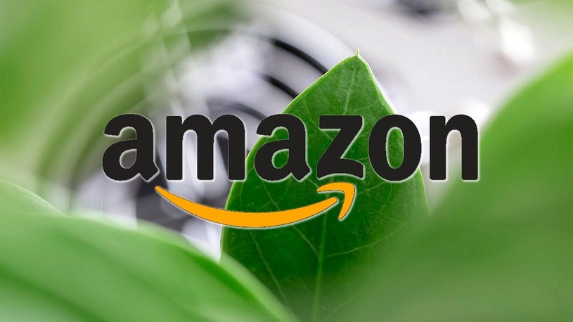 4000 pracowników Amazonu wnioskuje o zmianę polityki klimatycznej firmy /Geekweek