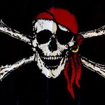 460 donosów na piratów miesięcznie