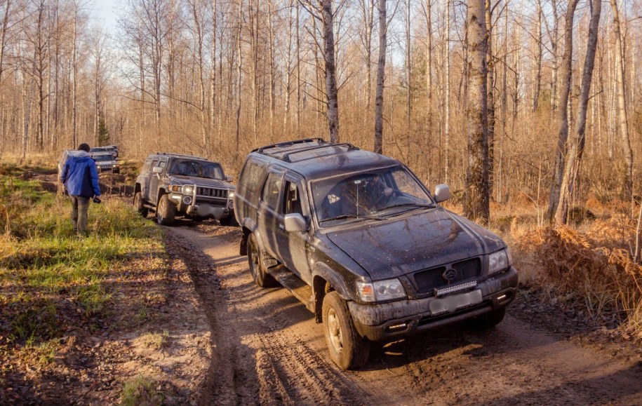 Tragiczny finał polowania. Myśliwy usłyszał zarzut spowodowania śmierci