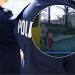 5-latka wbiegła na jezdnię zza autobusu. O krok od tragedii w Chorzowie [FILM]
