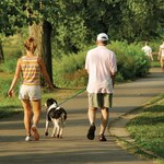 5 powodów dla których musisz codziennie spacerować