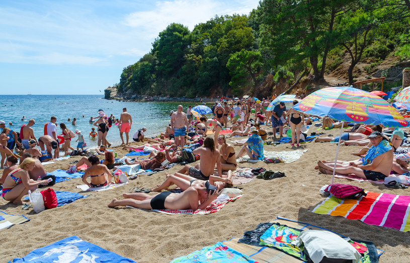 5 proc. Polaków planuje wyjazd na plażę, aby korzystać z letniego urlopu /123RF/PICSEL
