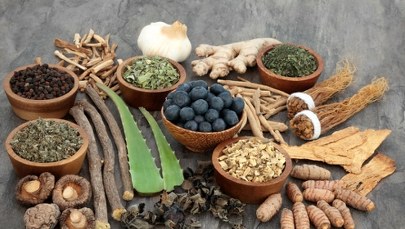 5 roślin na sokoli wzrok 