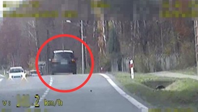 5 tys. zł mandatu i 15 pkt karnych dla kierowcy forda. Policjanci nie mieli litości