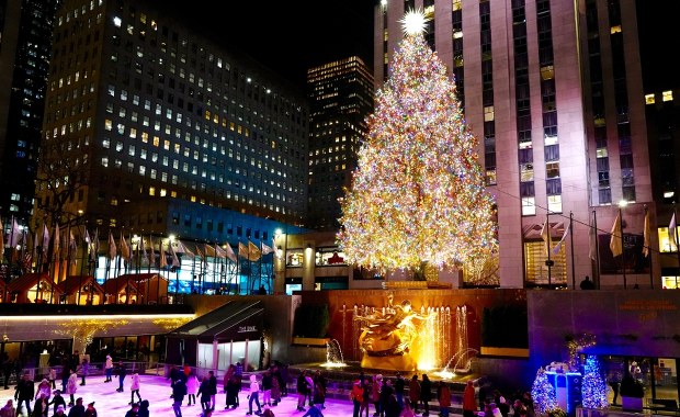 50 000 światełek i 3 miliony kryształów. Oto choinka, która ma zachwycić świat