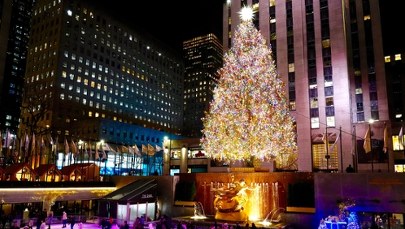 50 000 światełek i 3 miliony kryształów. Oto choinka, która ma zachwycić świat