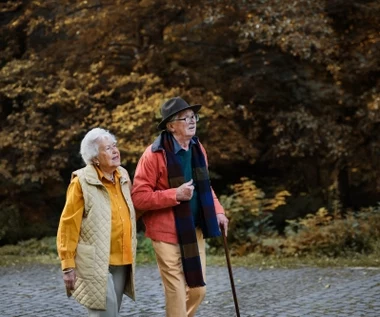 500+ dla seniora z nowym progiem dochodowym. Ci seniorzy zyskają prawo do dodatku