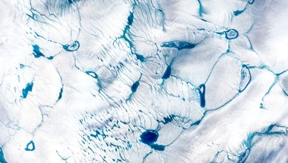 500 metrów pod lodem Grenlandii znaleźli coś, czego nikt się nie spodziewał