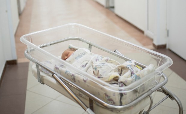 ​500 plus nie zadziałało. Twórca programu wskazuje powody