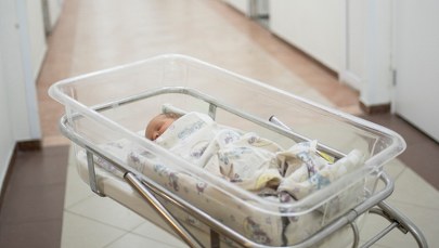 ​500 plus nie zadziałało. Twórca programu wskazuje powody