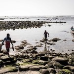 ​500 senegalskich rybaków zaraziło się tajemniczą chorobą skóry