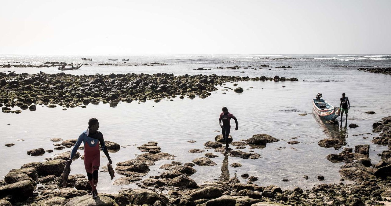 ​500 senegalskich rybaków zaraziło się tajemniczą chorobą skóry /AFP