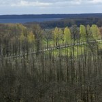 500 zł mandatu za złamanie zakazu wstępu do lasu