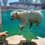 6 najbardziej wyjątkowych hoteli na świecie. Te miejsca warto odwiedzić chociaż raz w życiu