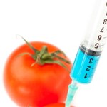 6 zalet i wad GMO