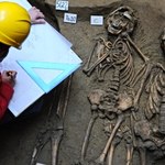 60 szkieletów pod słynnym muzeum