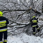 650 interwencji podkarpackich strażaków po opadach śniegu