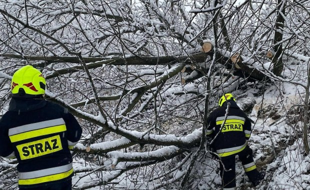 650 interwencji podkarpackich strażaków po opadach śniegu