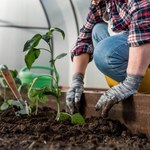 670 zł za dzień pracy. Nie wymagają żadnych kwalifikacji