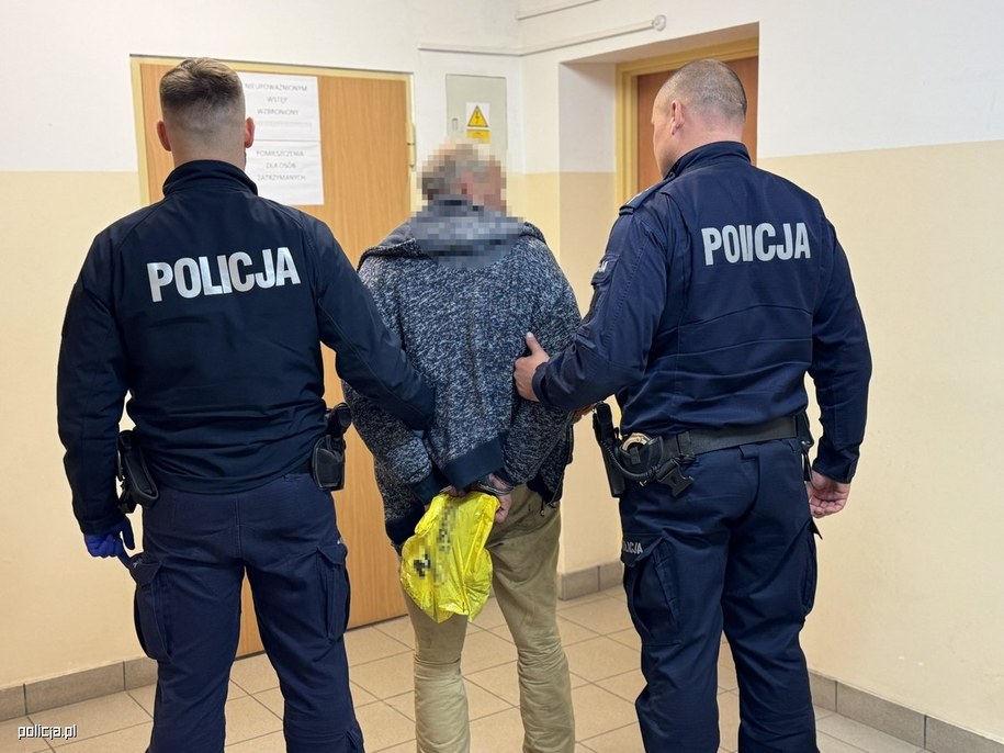 68-latek został zatrzymany na okres dwóch miesięcy. Grozi mu nawet do 15 lat więzienia /policja.pl /Policja