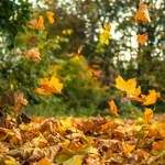 7 gadżetów, które ułatwią przetrwanie jesieni