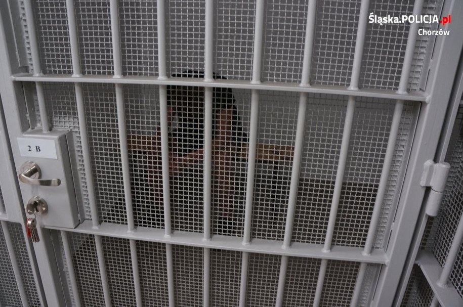 7 pseudokibiców zatrzymanych przez policję /Śląska policja /Materiały prasowe