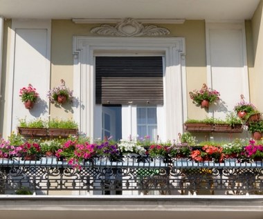 7 sposobów na wiosenny balkon za grosze