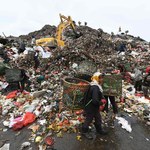 7 szokujących faktów o śmieciach