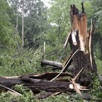 7 tysięcy domów bez prądu po burzach na Podkarpaciu