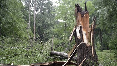 7 tysięcy domów bez prądu po burzach na Podkarpaciu