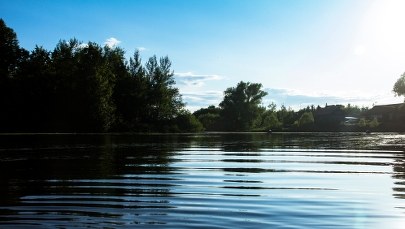 70-latek nie wrócił ze spaceru z psami. Jego ciało znaleziono w stawie