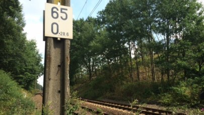 70 tysięcy na sprawdzenie terenu. To tam może być ukryty "złoty pociąg"