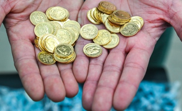 70 złotych monet odkryto w lesie koło Szczecina. "Dalej dochodzimy do siebie"