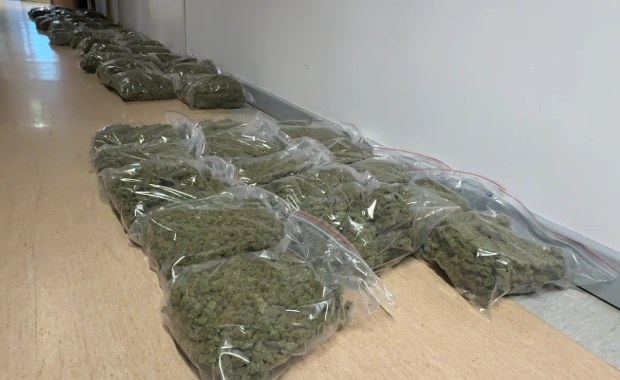 ​71 kilogramów narkotyków, luksusowe auta i fałszywe dokumenty. "Duch" zatrzymany