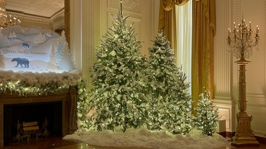 77 choinek i 83 tys. światełek. Świąteczne dekoracje w Białym Domu