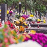 Leroy Merlin 79 zł za najtańszą. Przed Wszystkich Świętych złapiesz się za kieszeń