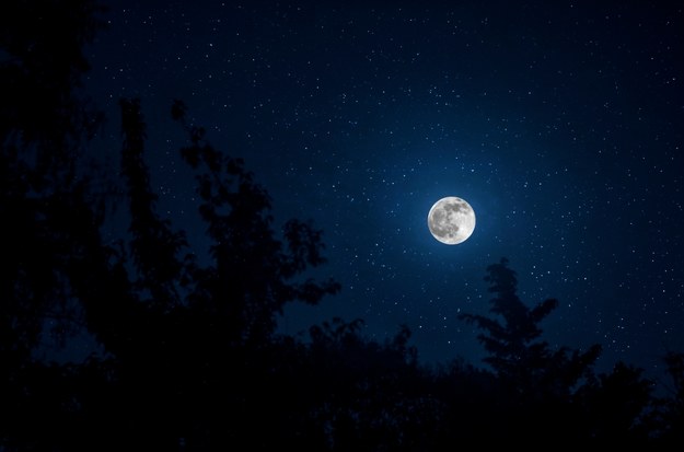 8 grudnia nastąpi kumulacja zjawiska Zimnego Księżyca /Shutterstock