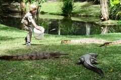 8-latek karmi krokodyle w zoo w Australii