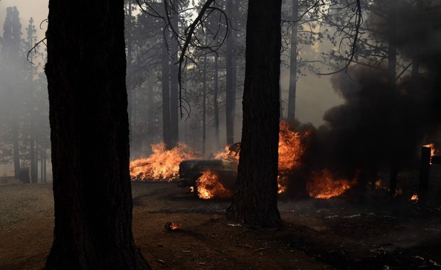 80 niszczycielskich pożarów szaleje w USA. Nie pomagają fala gorąca i susza