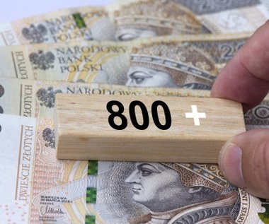 800 plus dla obywateli Ukrainy. Rząd wprowadza zmiany