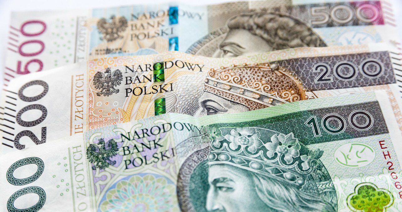 ​800 plus nie tylko dla rodzin z dziećmi. Czy seniorzy i 50-latkowie mogą liczyć na nowe świadczenie? /Wojciech Strozyk/ /Reporter
