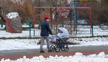 800 plus w 2026 roku. Najważniejsze terminy i zasady składania wniosków 