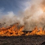 ​84-letni mężczyzna zginął w pożarze traw pod Rzeszowem