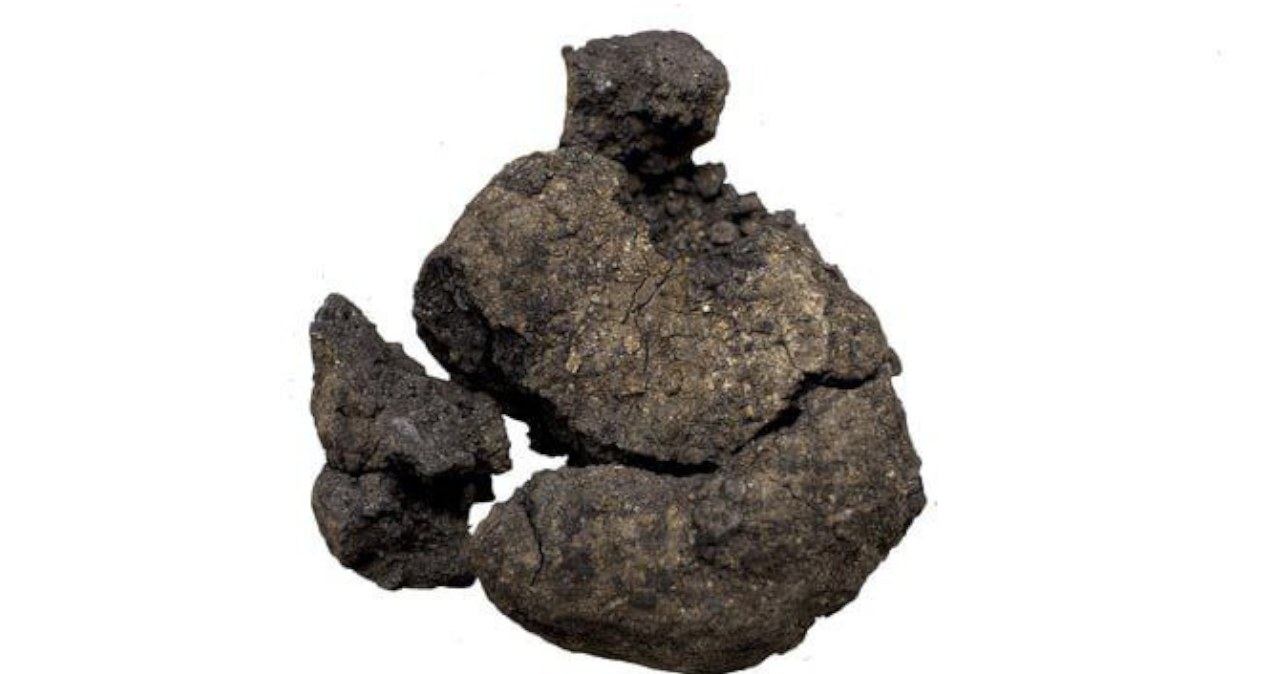 8600-letni chleb odkryty w Çatalhöyük /@Stimpy75