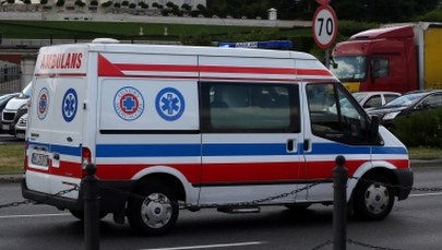 9-latka dotkliwie pogryziona przez psy. Przewieziona do szpitala w stanie zagrażającym życiu