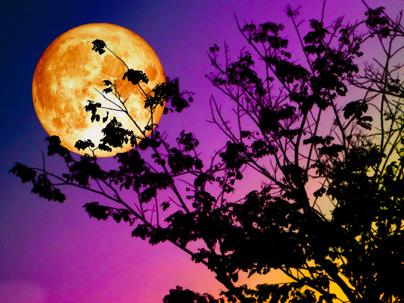 9 października na niebie pojawi się księżyc w pełni /123RF/PICSEL