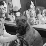 #96 Pełnia Bluesa: Billie Holiday - wielka kariera, a w tle tragiczna historia